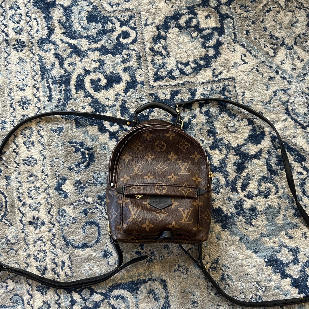Louis Vuitton palm springs backpack mini